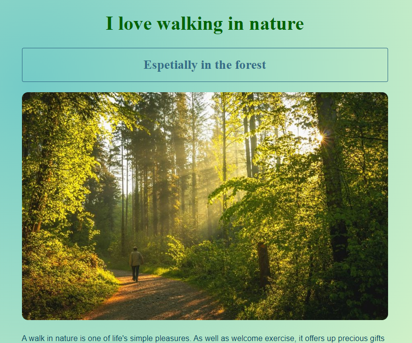 Walk in forest project prewiew